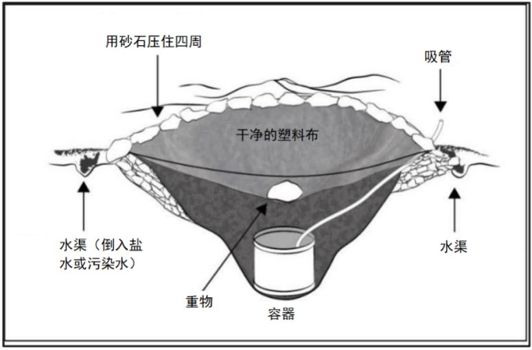野外生存训练如何获得干净淡水？