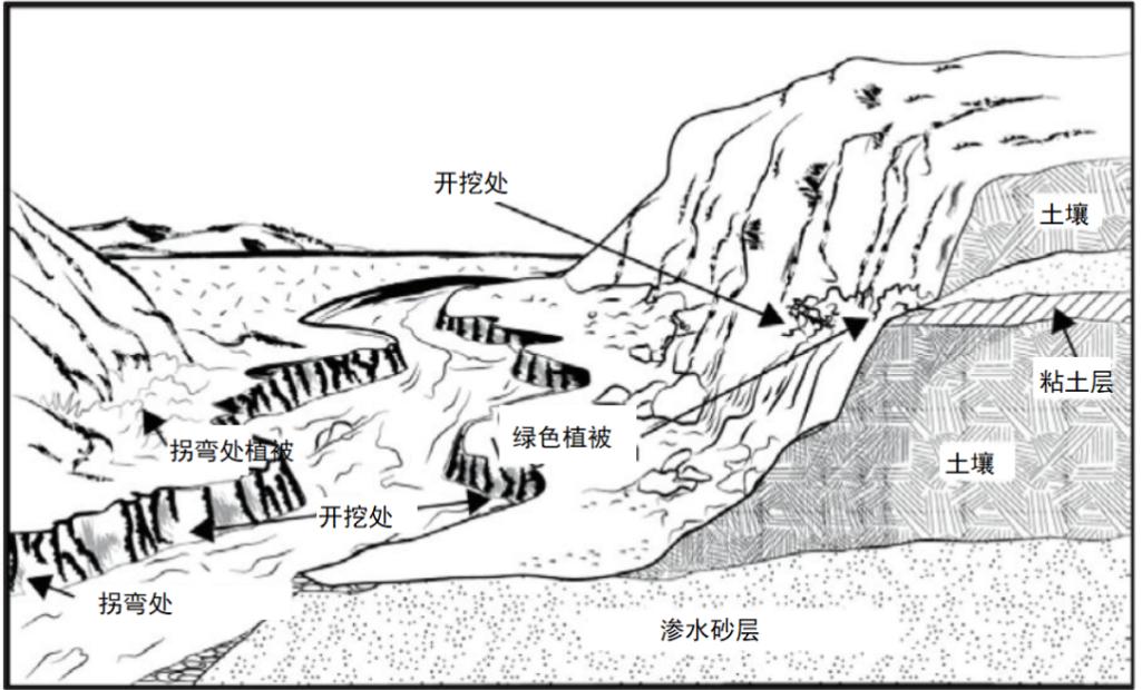 野外生存训练如何获得干净淡水？