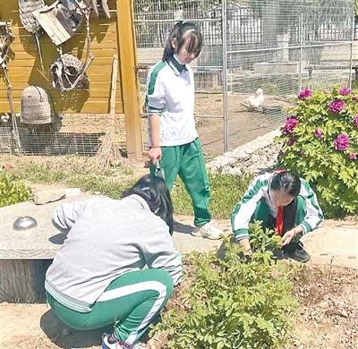 我国再添四处世界灌溉工程遗产