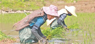 我国再添四处世界灌溉工程遗产