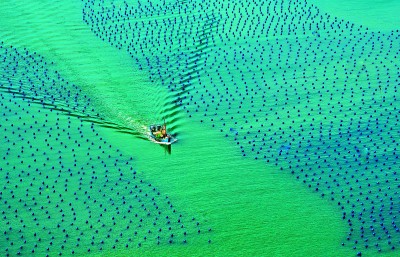 践行大食物观 我们还应做什么