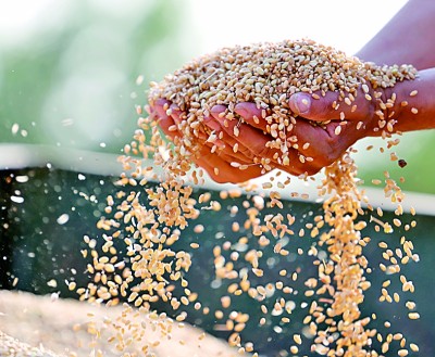 践行大食物观 我们还应做什么