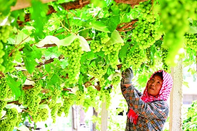 践行大食物观 我们还应做什么