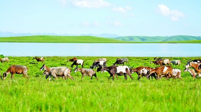 践行大食物观 我们还应做什么