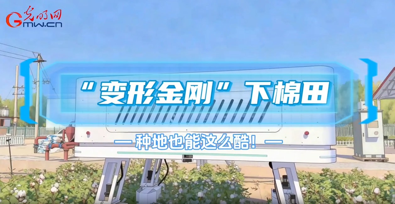 棉田里的“变形金刚”，种地也能这么酷！