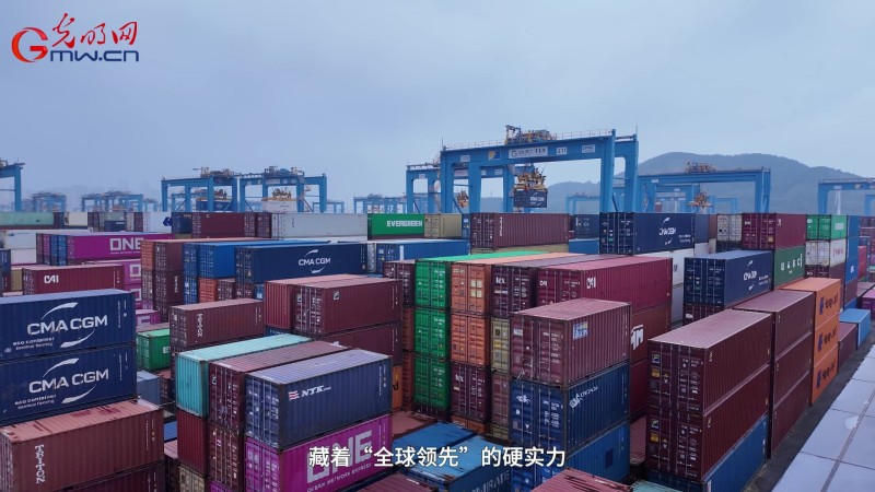 智慧赋能深蓝岸 山东港口青岛港自动化码头彰显“硬实力”