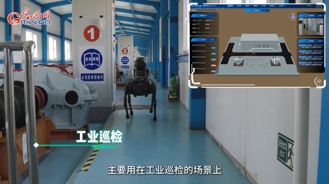 行行出状元｜电子电路设计师杨宝珠：做数字世界的“隐形建筑师”