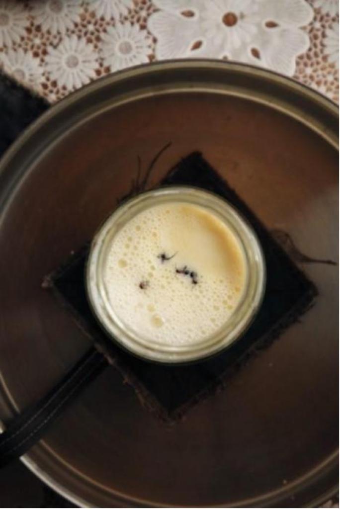 蚂蚁酸奶，一道复古的“黑暗料理”