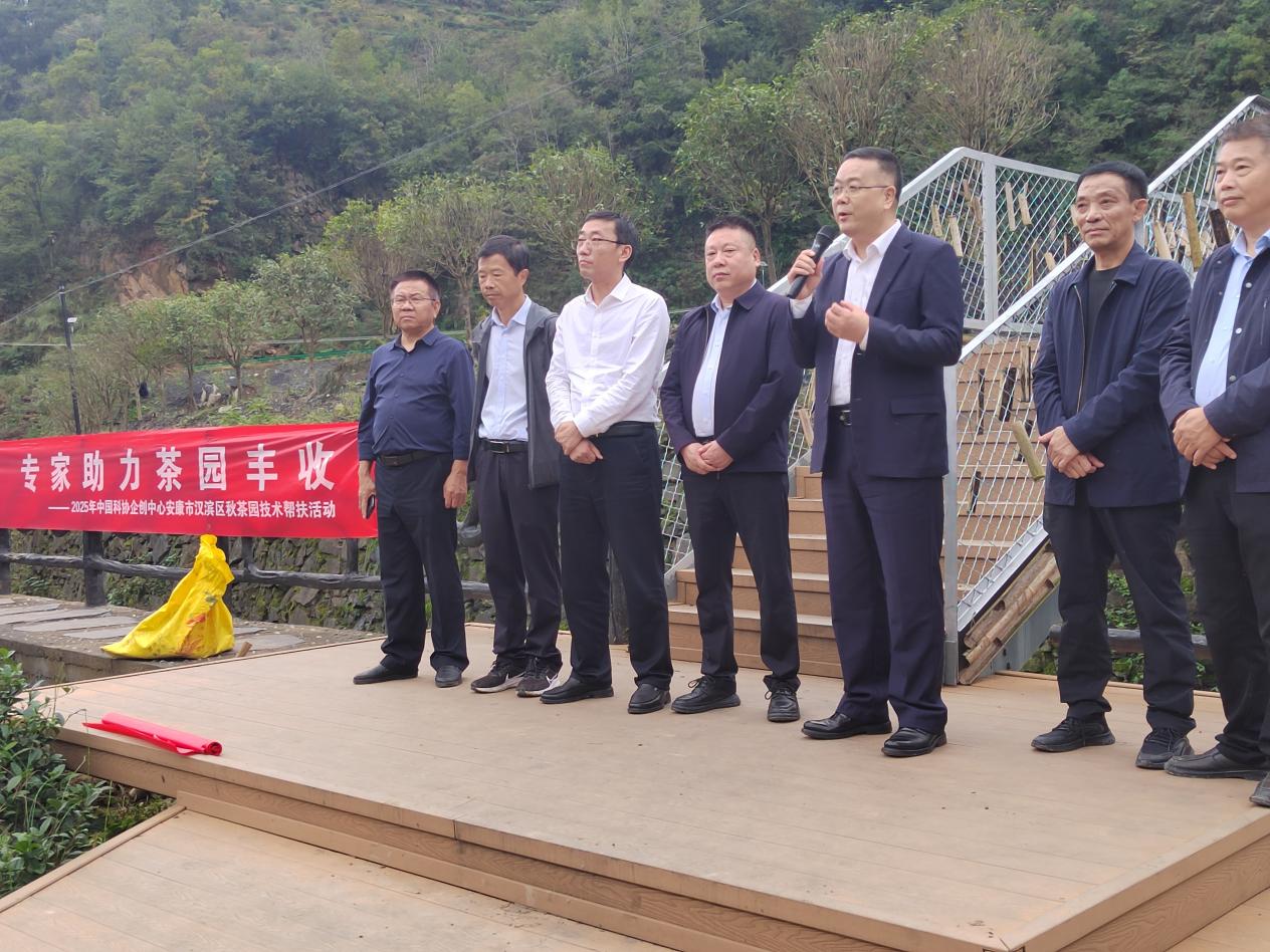 “科技赋能乡村振兴”茶业专家走进安康汉滨区茶园进行技术帮扶活动