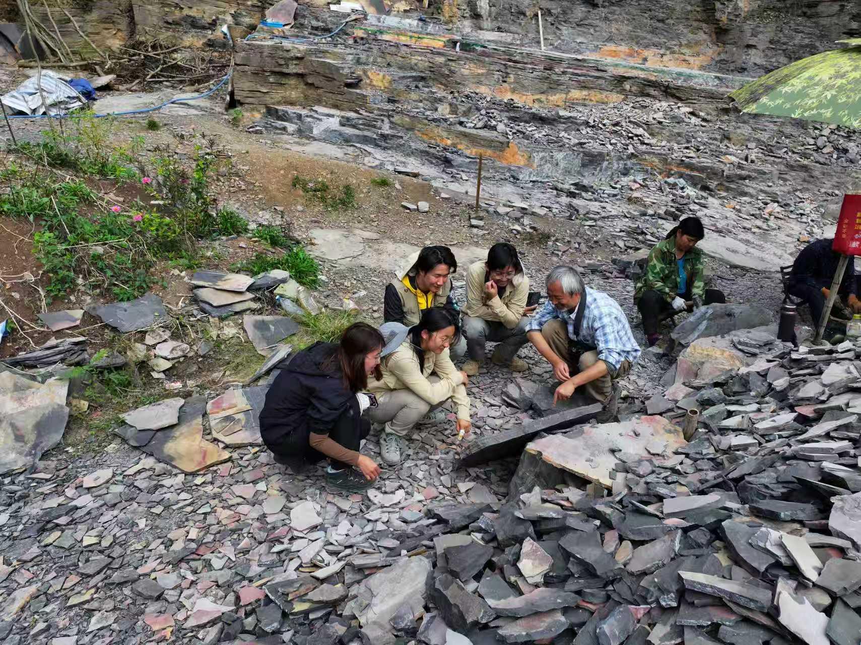 5.5亿年前在海底打洞竟改变地球环境与生命演化