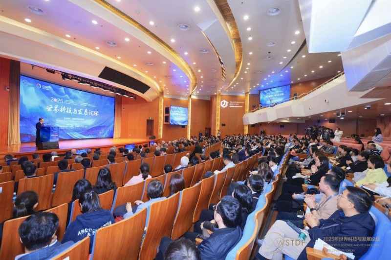 记者观察｜“不用学物理数学，AI能给出所有答案？”——国际视角下的人才培养与教育变革