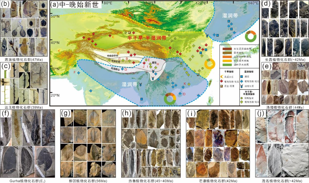 没有青藏高原，烟雨江南或将是一片荒漠