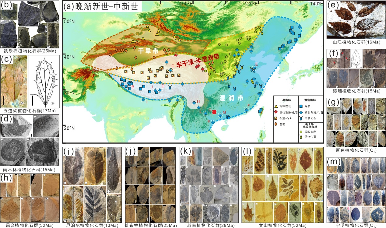 没有青藏高原，烟雨江南或将是一片荒漠