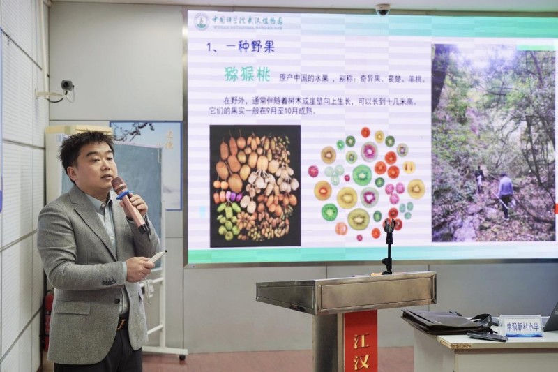 从山野小果到世界奇迹：一颗猕猴桃背后的科学家精神——“科学家精神”系列宣讲活动走进江汉区单洞新村小学