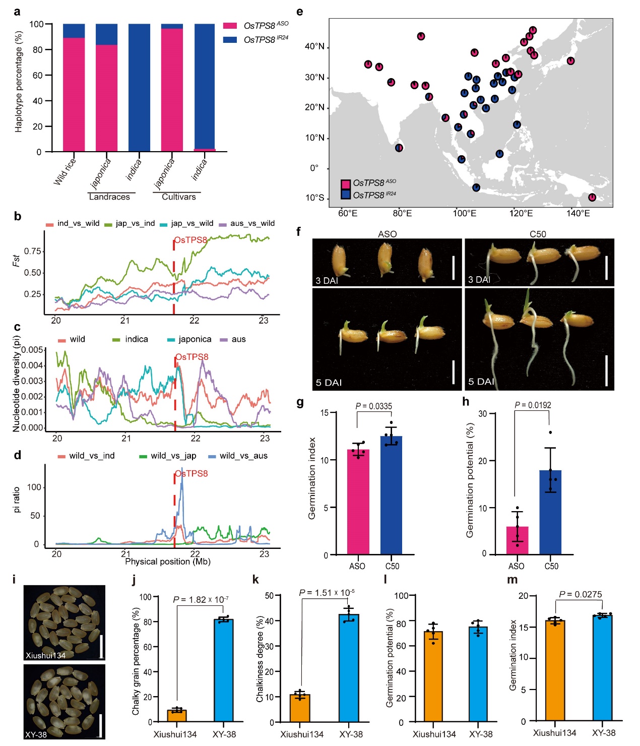 水稻为何“好看”与“好长”难两全？科学家揭示协同调控新机制