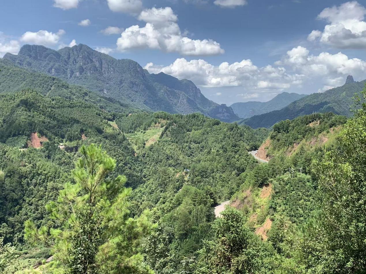 我国科研人员新发现一种镍铋新矿物—金秀矿