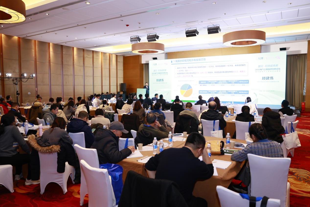 2025电气工程技术创新论坛在京召开
