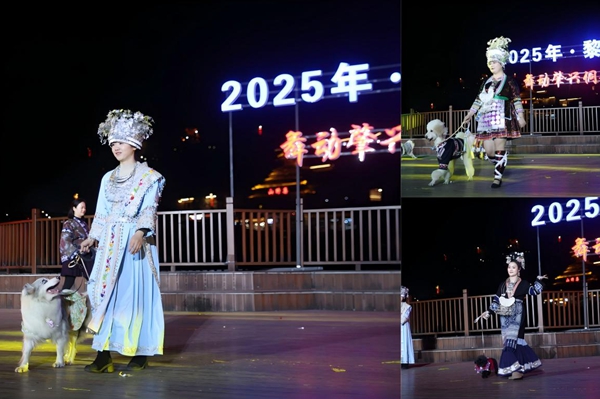 《人宠友好旅游空间管理服务规范》团体标准技术审查会在贵州黎平召开