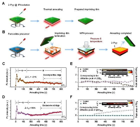 给晶体穿上“防护衣” 我国科学家破解钙钛矿电池稳定性难题