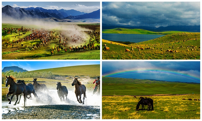 《魔域》联动丝路明珠 数字水墨再造“天马”神韵