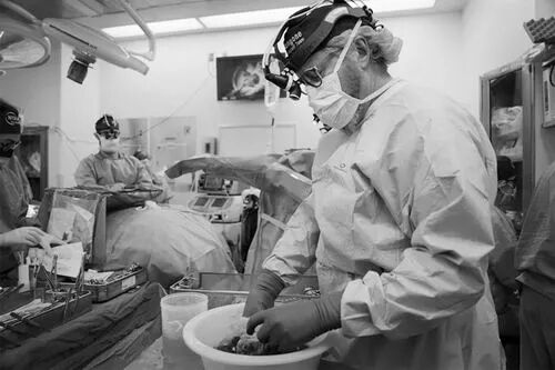 “两院院士评选2025年世界十大科技进展新闻”揭晓