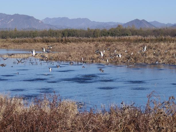 中建六局水利水电公司以技术创新赋能水利工程绿色发展