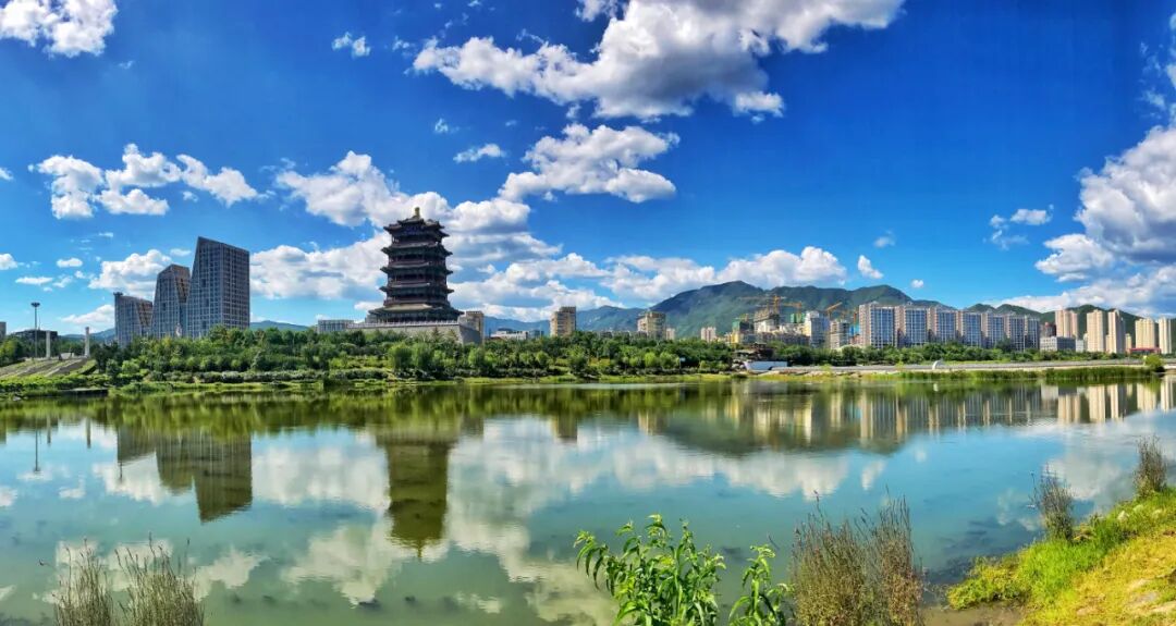 绿隔建设成效斐然 绘就和谐共生新图景