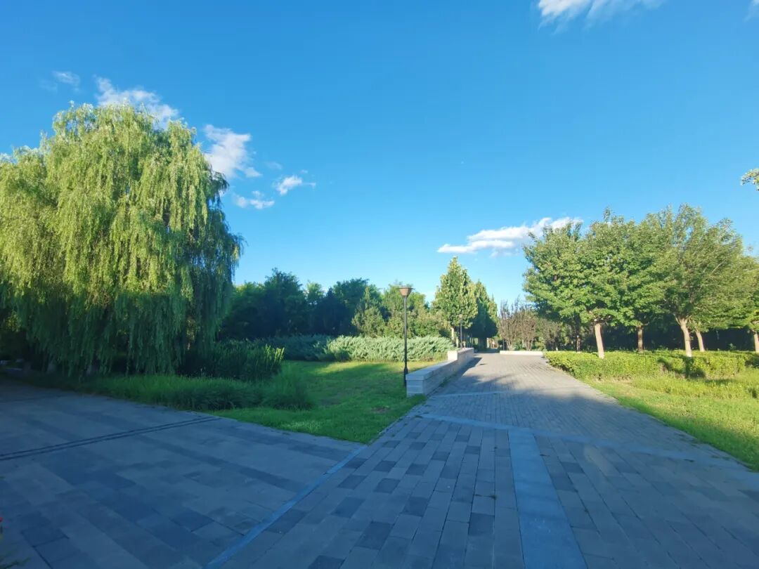 绿隔建设成效斐然 绘就和谐共生新图景