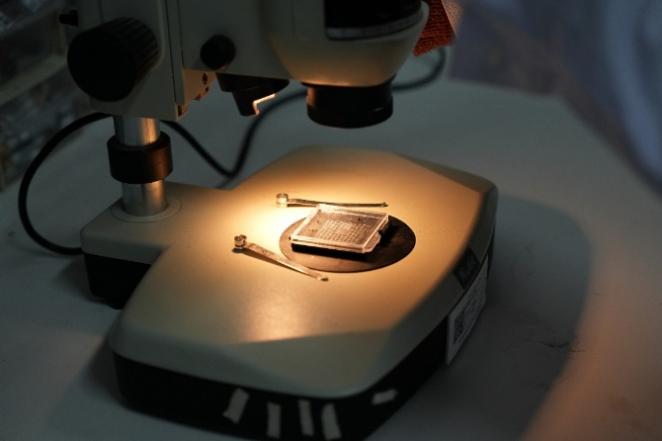 我国科学家摸清了量子系统的热化节奏