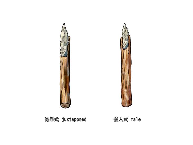 东亚旧石器“落后保守”？新发现颠覆这一认知