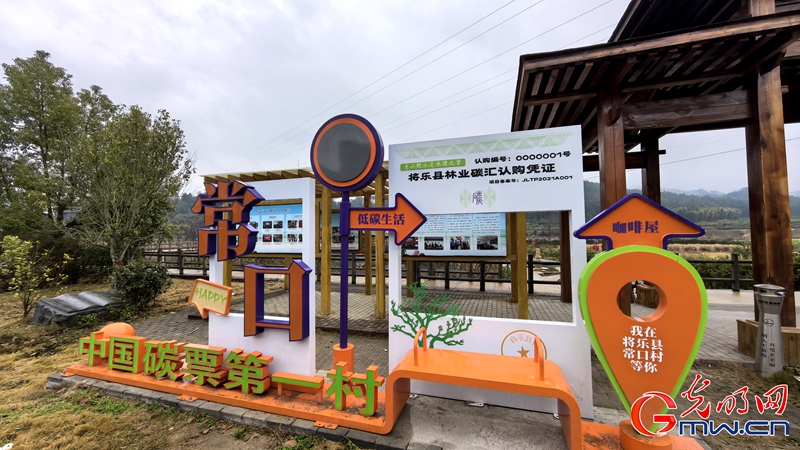 新春走基层｜三明有片“医疗碳汇林”