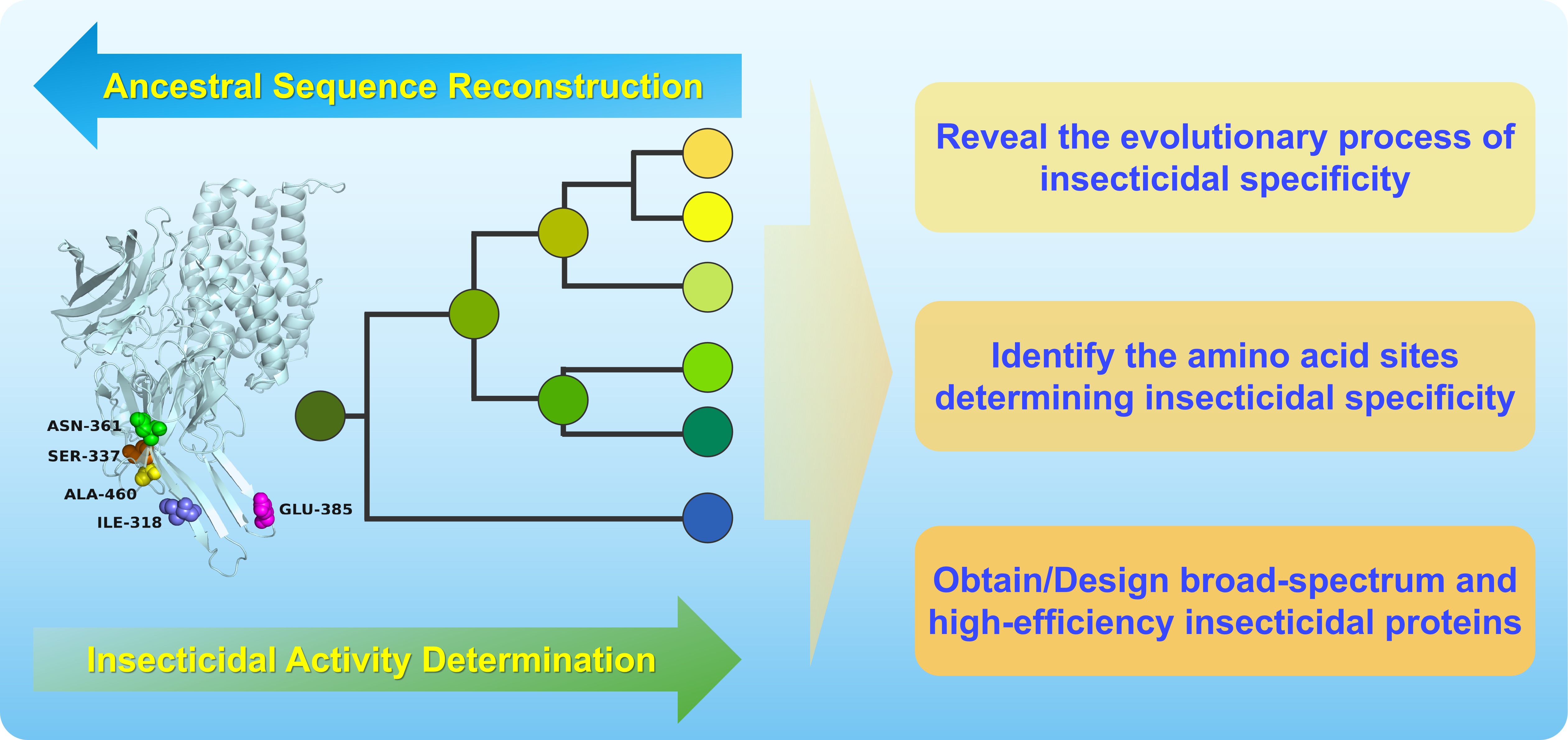 复活远古蛋白！我国研发出高效广谱Bt杀虫蛋白打破传统认知