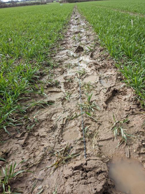 用测地震的方式来测农田？他们发现了新情况