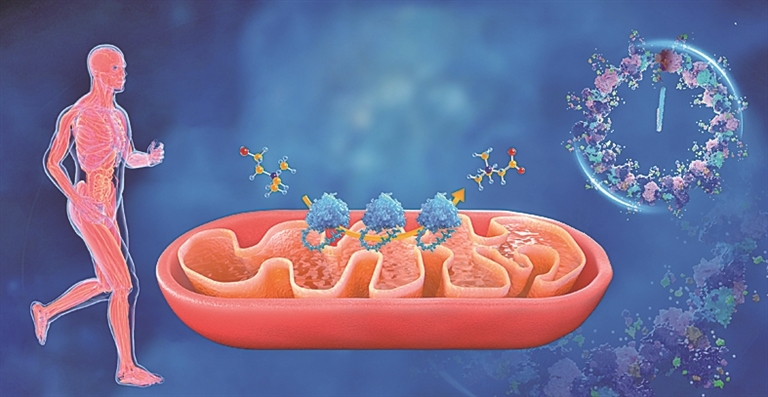 2025年度“中国科学十大进展”揭晓——攀登!直抵科学高峰