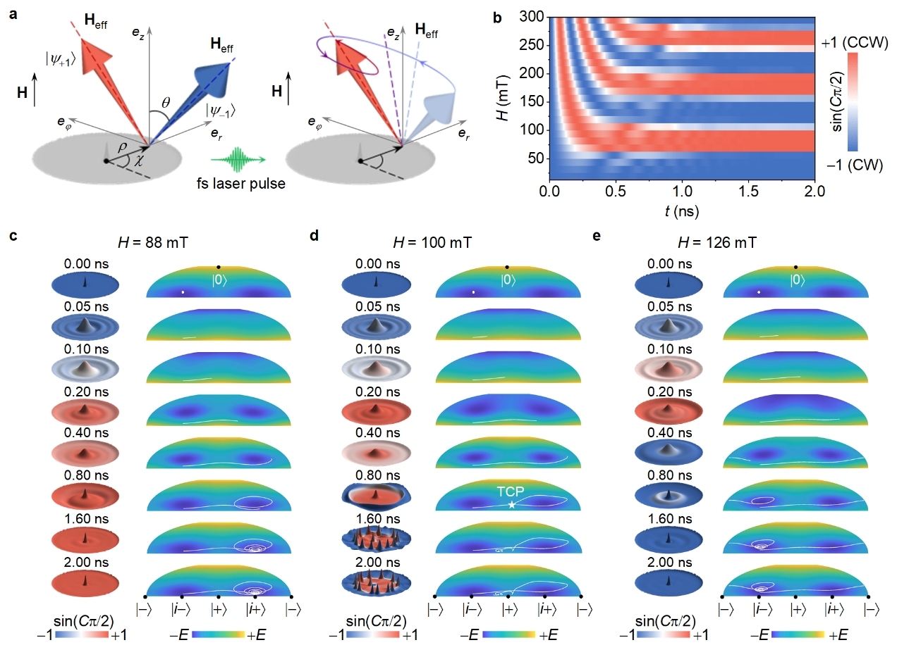 南开团队首次实现拓扑自旋螺旋度皮秒级相干调控与精准切换