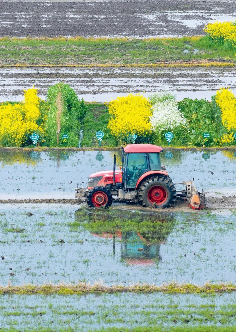 锚定国家战略 提升农业科技创新体系整体效能