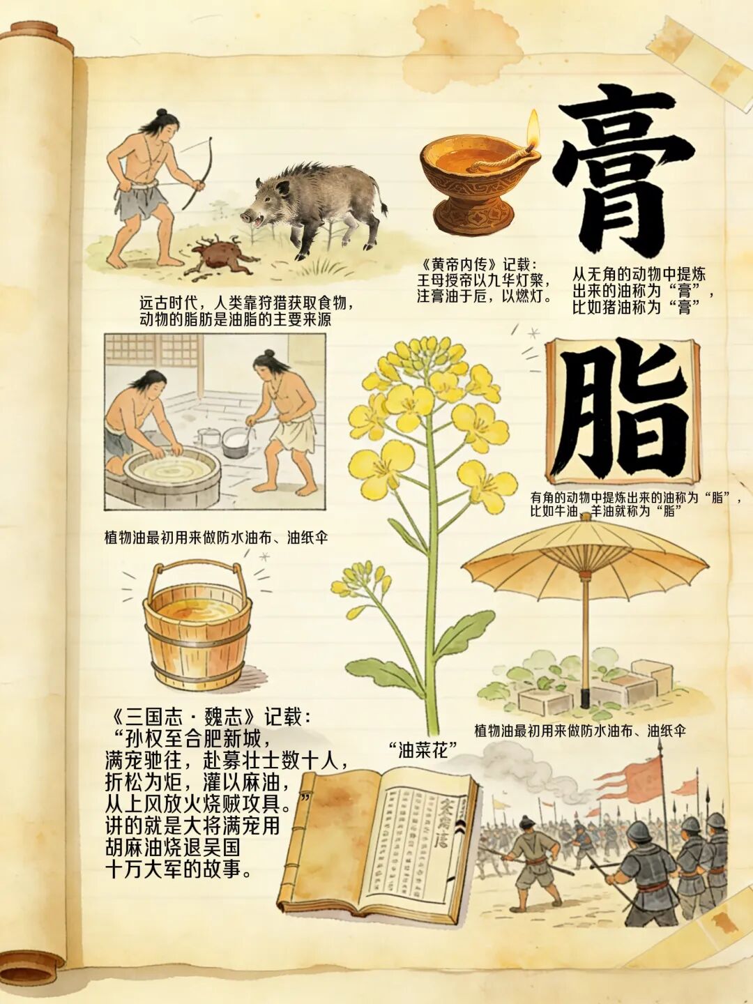 油豆奶的健康学问丨人类食用油脂的起源与早期发展