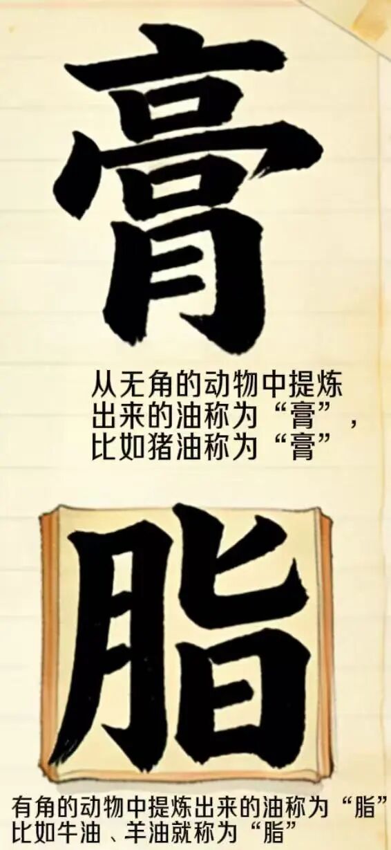 油豆奶的健康学问丨人类食用油脂的起源与早期发展