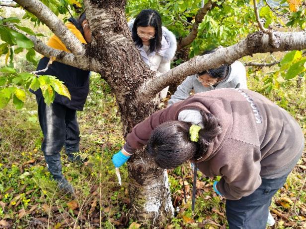 北林大“劳模工匠大讲堂”开讲！“耕读植绿”工作室书写劳动育人答卷