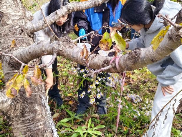 北林大“劳模工匠大讲堂”开讲！“耕读植绿”工作室书写劳动育人答卷