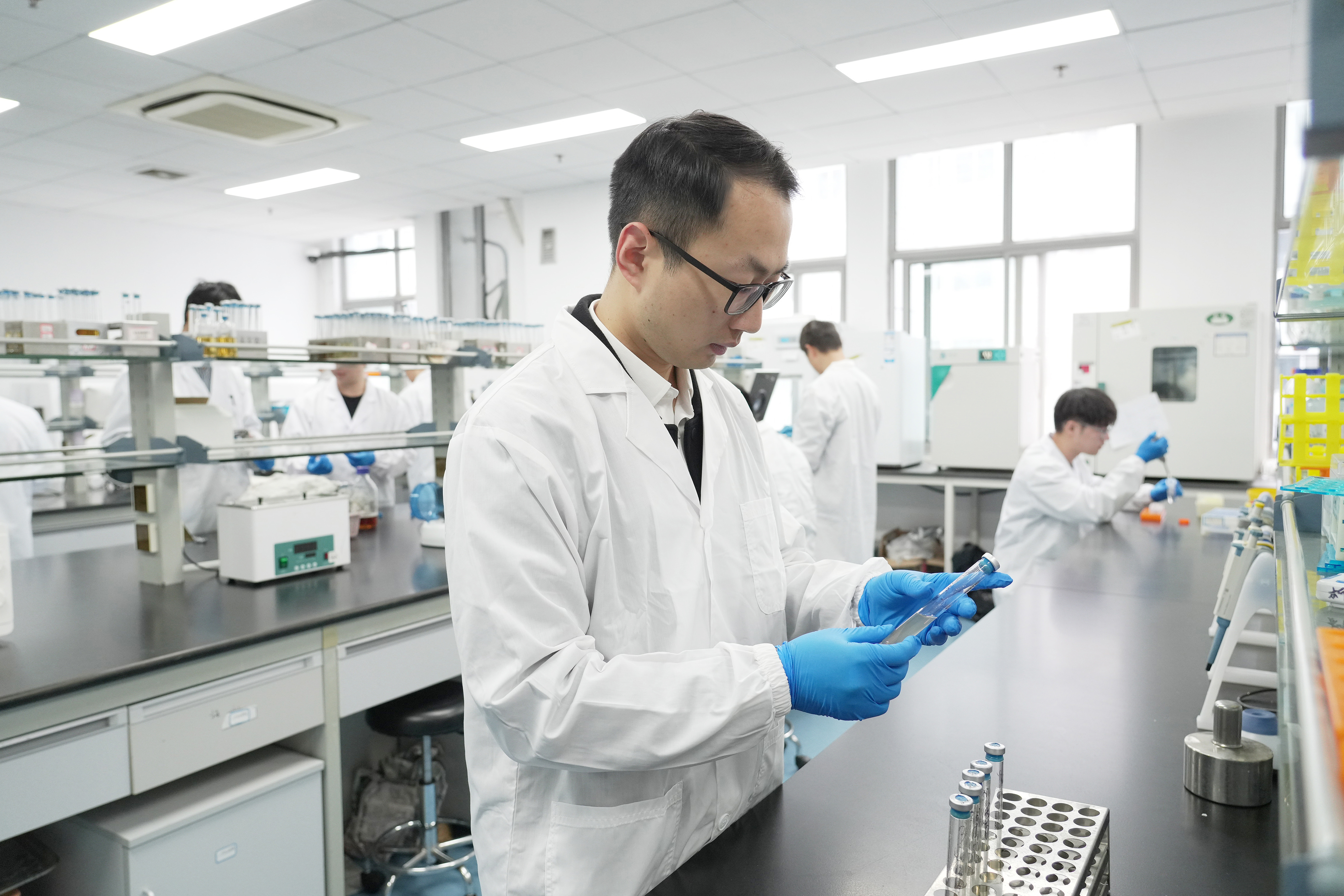 牛胃里的“产氢工厂”找到了！科学家破解畜牧业甲烷减排密码