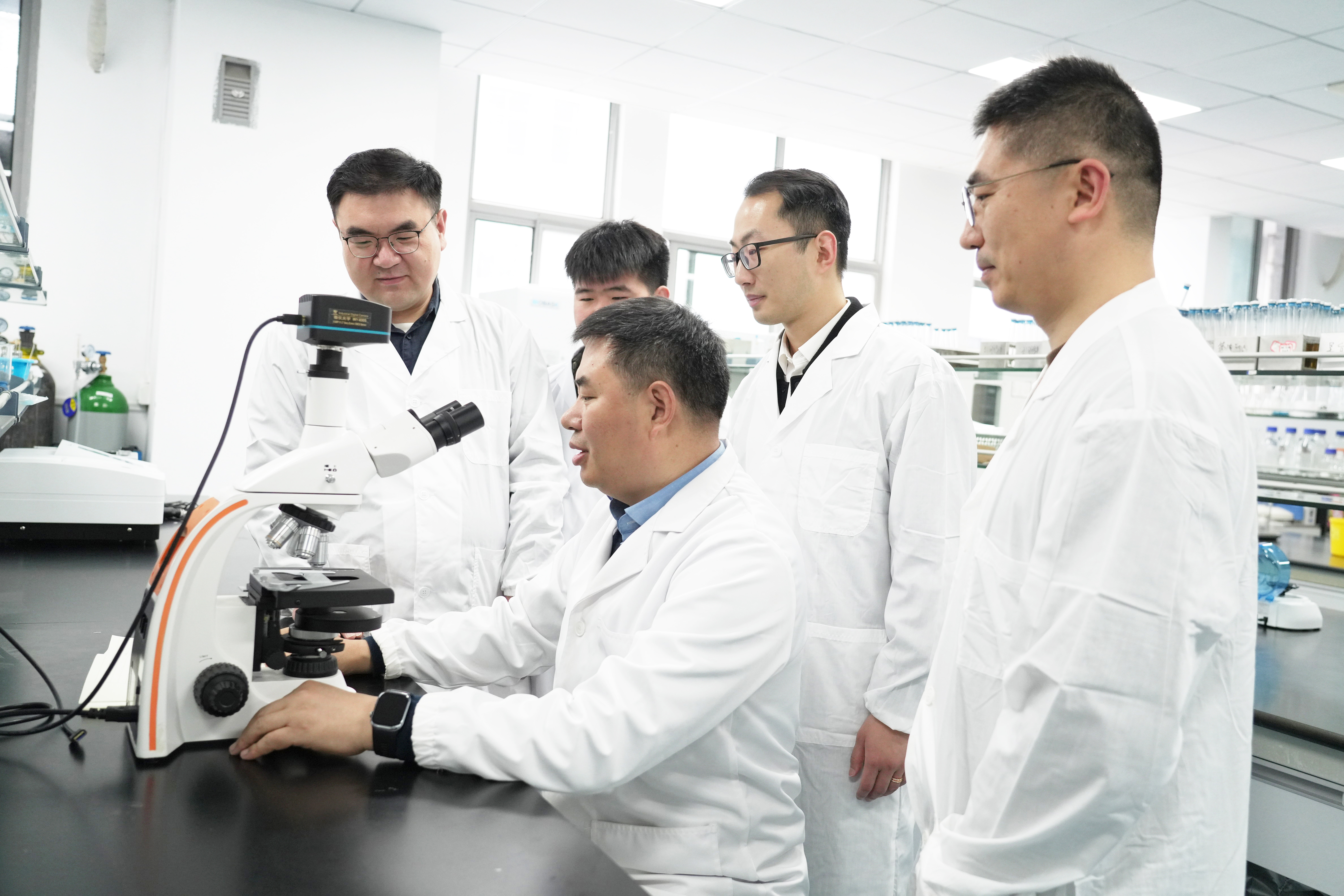 牛胃里的“产氢工厂”找到了！科学家破解畜牧业甲烷减排密码