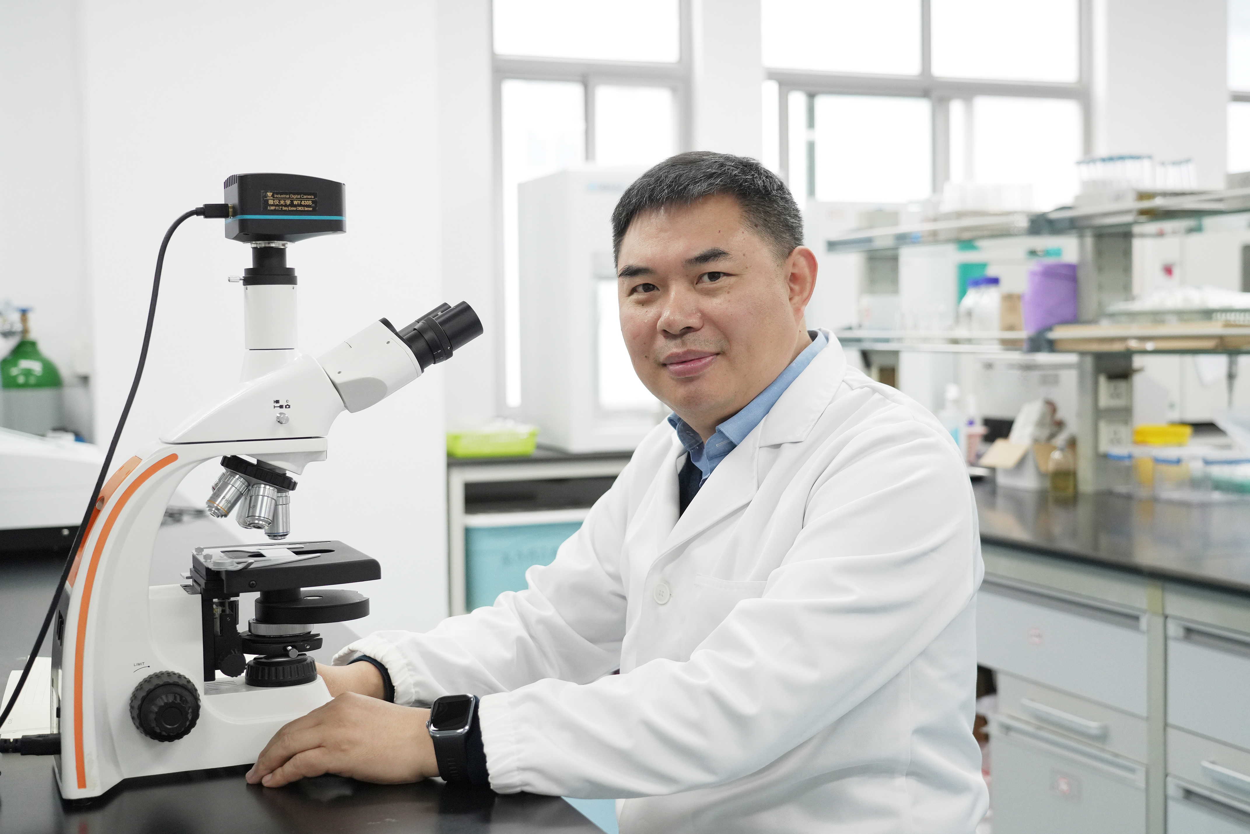 牛胃里的“产氢工厂”找到了！科学家破解畜牧业甲烷减排密码