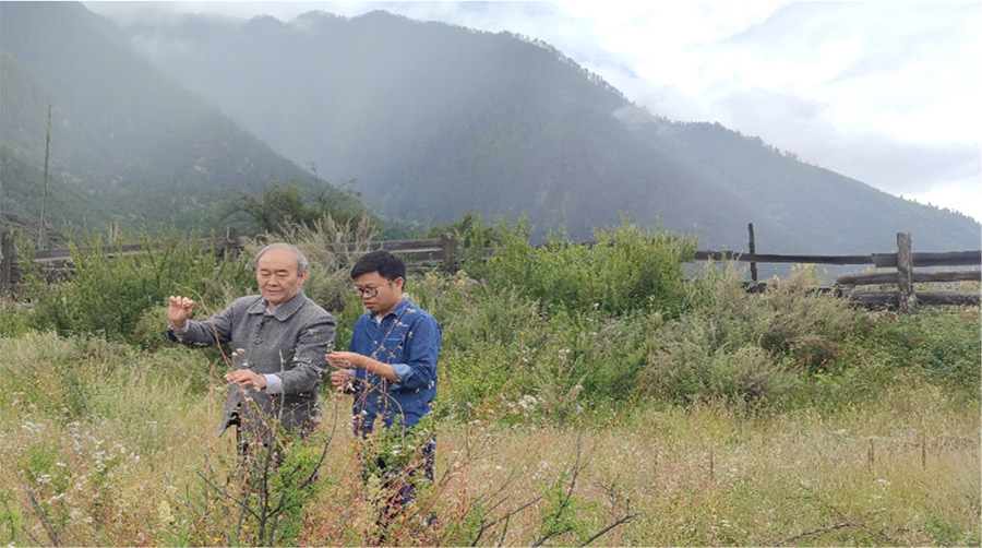 【院士科普】百年征程,如何守住农业的“中国芯”? 【院士科普】百年征程,如何守住农业的“中国芯”?