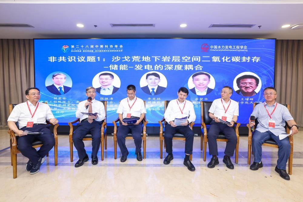 中国科协年会“多元储能（含抽水蓄能、新型储能）的智能调控与安全运行”专题论坛举办