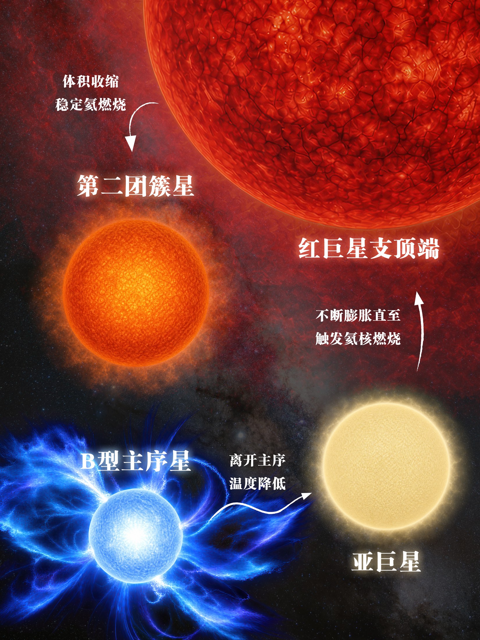 云南大学团队从恒星晚年“回望”青春，揭开B型恒星的行星世界