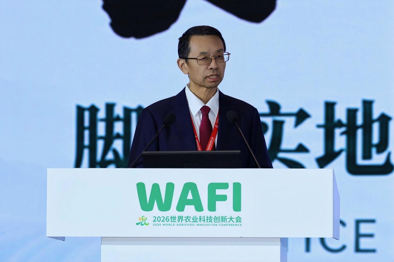 从中国田间走向全球南方 科技小院出海计划在京发布