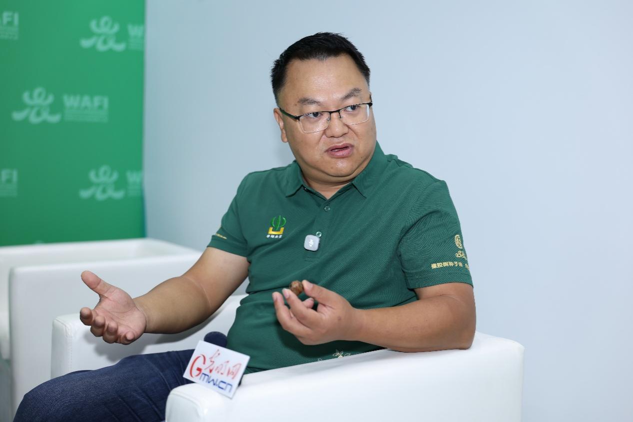 橡胶树种子油：非粮生物质开辟心脑血管健康新路