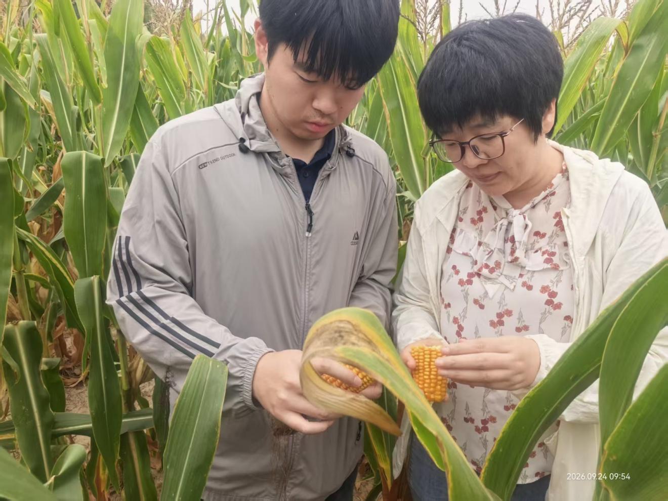 陈延玲：深耕田间的科普人