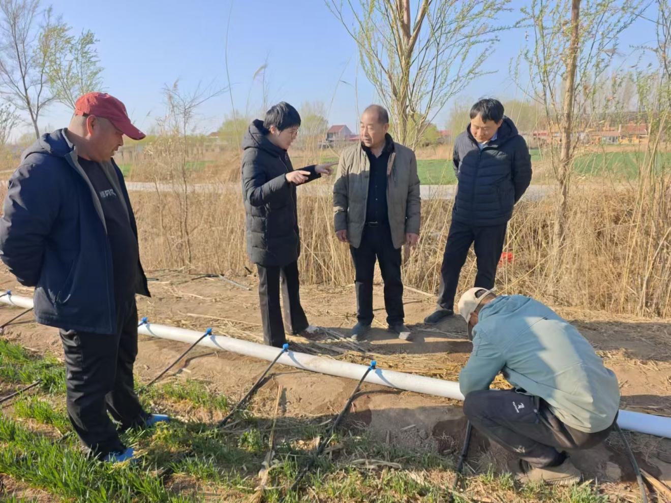 陈延玲：深耕田间的科普人